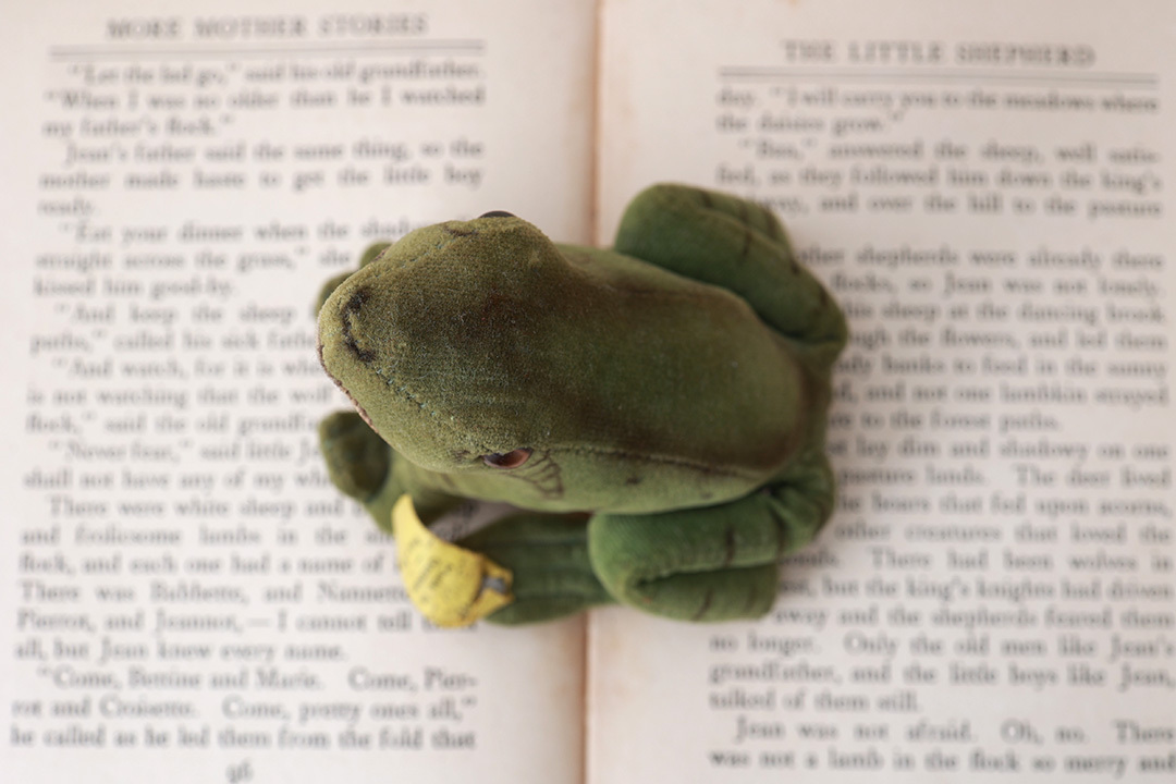 1950年代シュタイフ社のカエル (Froggy)