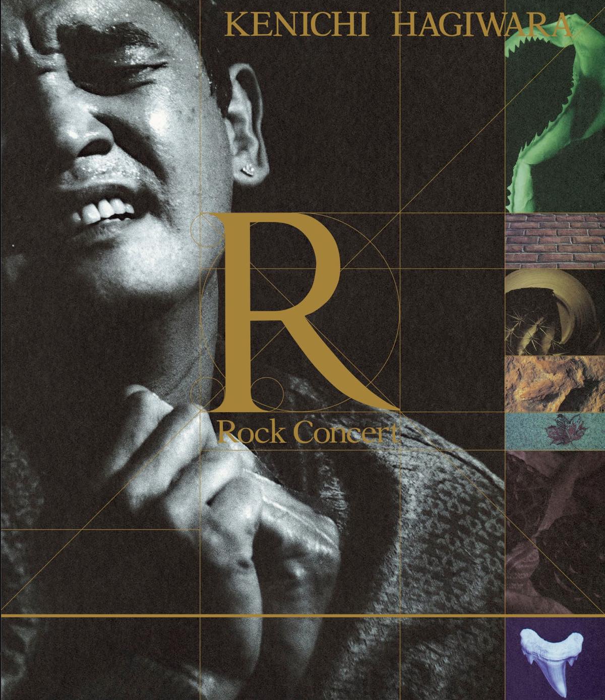 萩原健一 Hagiwara Kenichi『ロックコンサート -R-』2022年12月7日発売