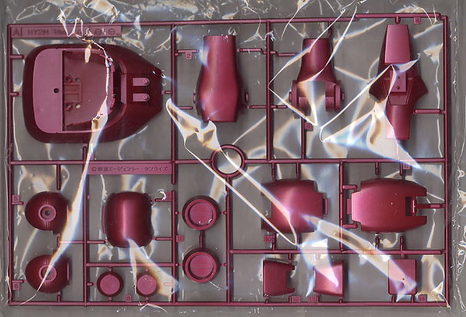 MS-09RS シャア専用リック・ドム エクストラ・フィニッシュVer. (HY2M