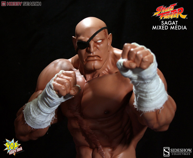 ストリートファイター/ ミックス・メディア 1/4 スタチュー: サガット