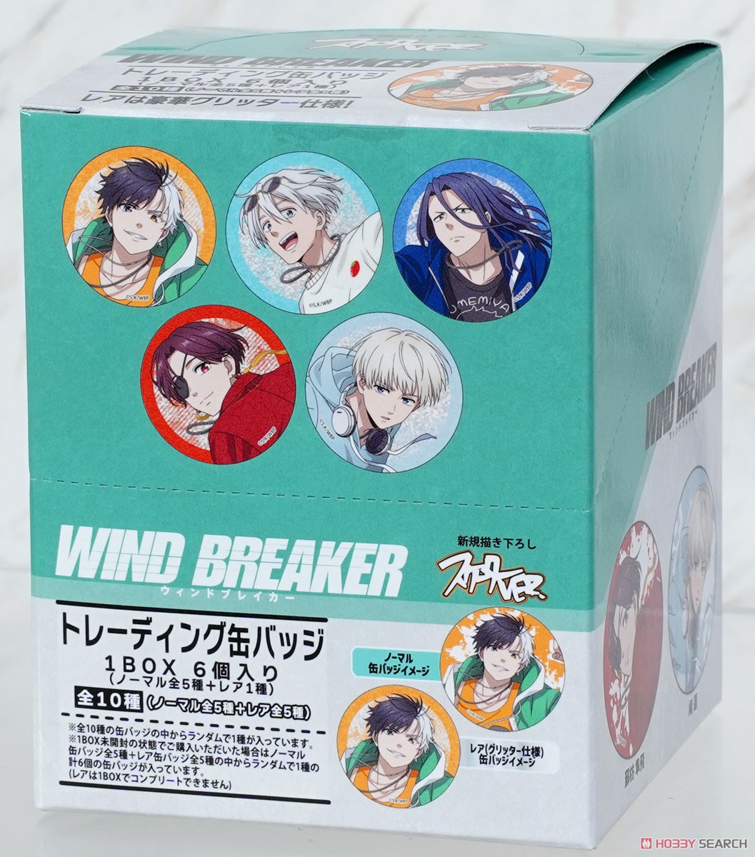 ☆特価品 WIND BREAKER トレーディング缶バッジ スケーターver. (6個