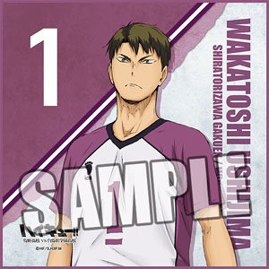 ハイキュー!! 烏野高校 VS 白鳥沢学園高校 マイクロファイバーミニ