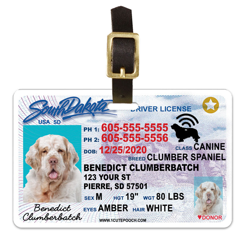 South Dakota Driver License Custom Pet ID Tag and Wallet Card - 1
