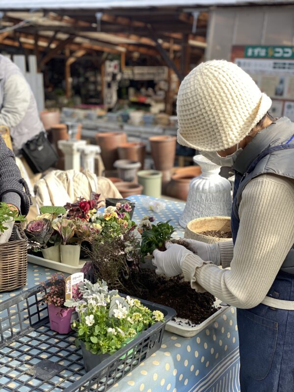 12月の寄せ植え 木曜午前クラス | 寄せ植え倶楽部ブログ
