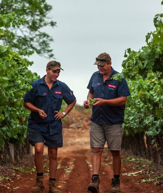 Ricca Terra / リッカ・テッラ (Riverland, SA)