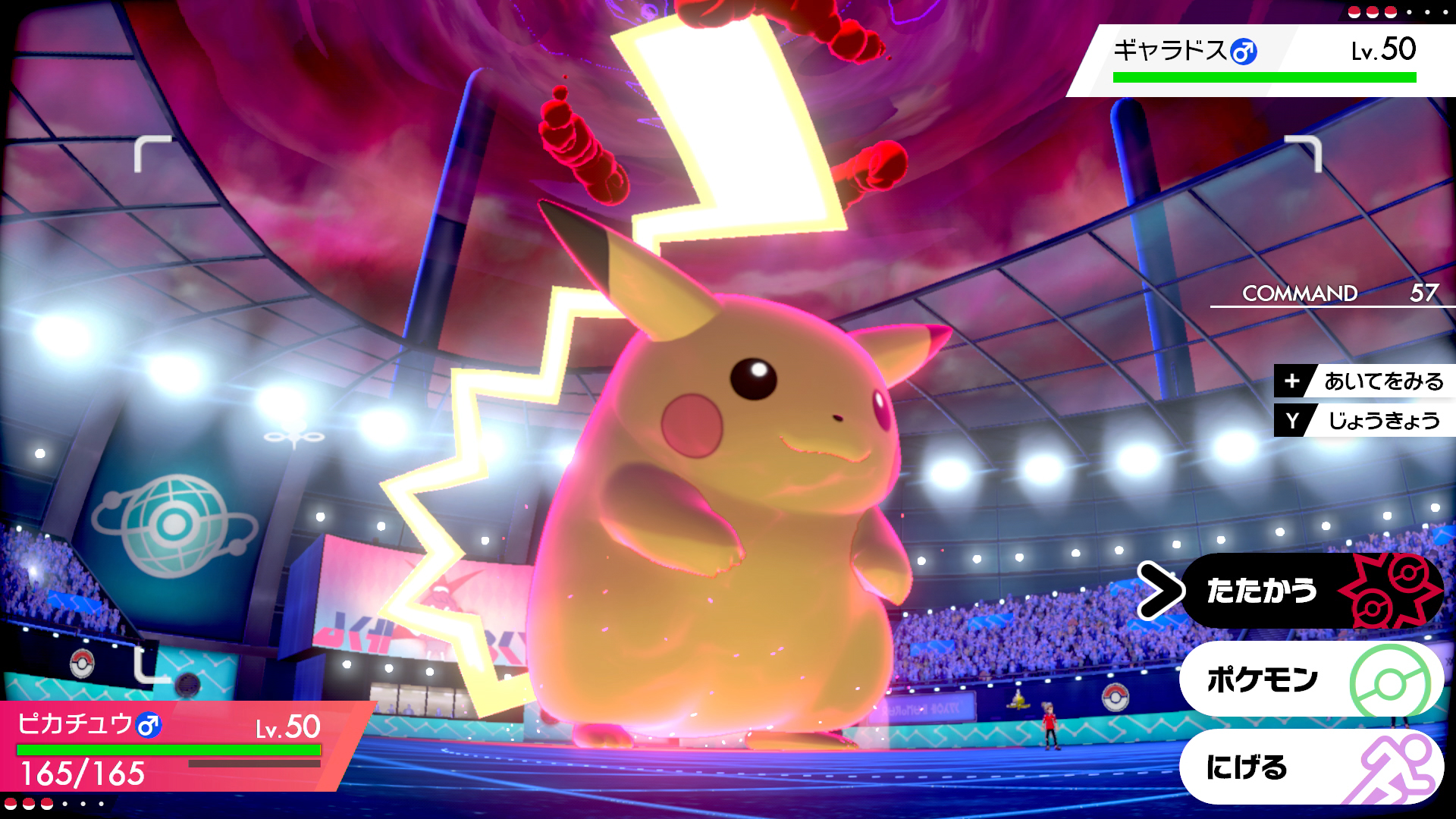 ポケットモンスター ソード・シールド」，キョダイマックスのすがたの