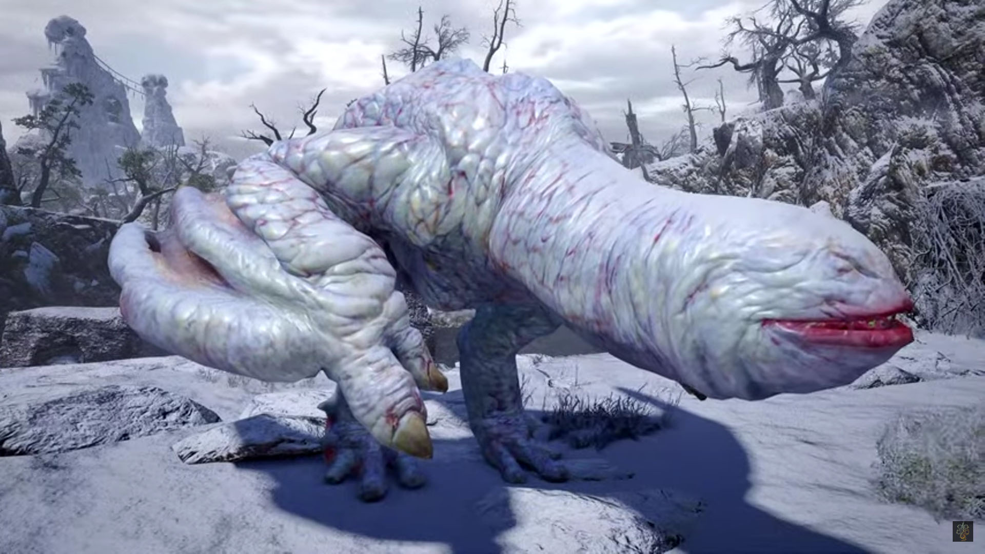 新種のクモに「モンハン」の登場モンスター「フルフル」の名前が採用される