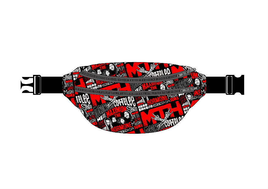 歴代GOODSライブラリー | マキシマム ザ ホルモン Official Site