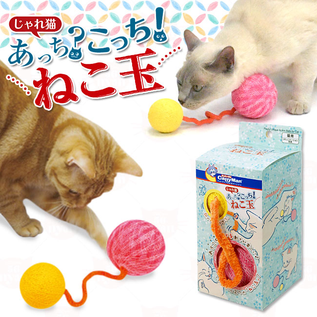 キャティーマン じゃれ猫 あっち？こっち！ねこ玉 猫用 おもちゃ