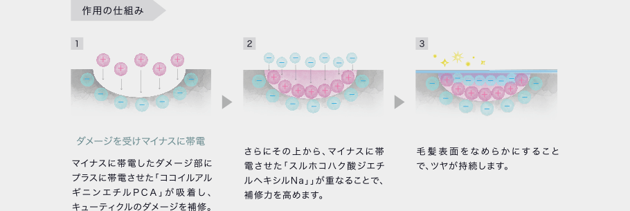 ベース｜コタクチュール｜コタ株式会社