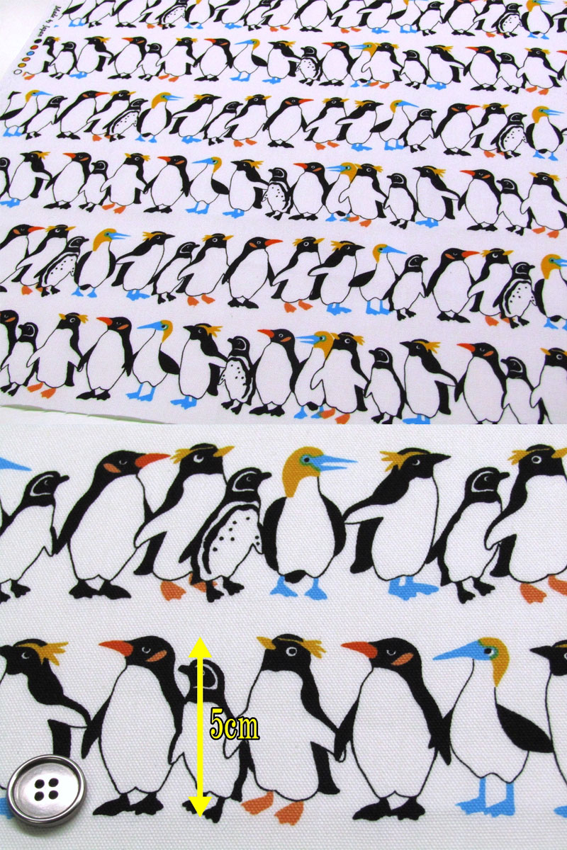 本物のペンギンとぺんぎん? すみっコぐらし - てのりぬいぐるみ（ぺんぎん（本物