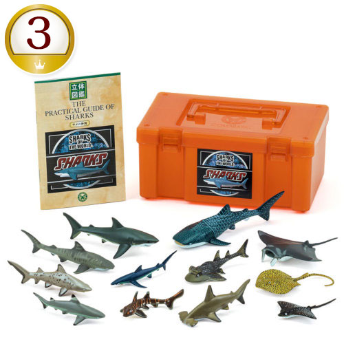 動物 生物 立体図鑑 シャークボックス / カロラータ オンラインショップ