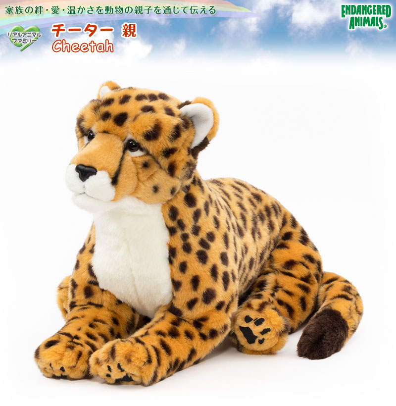 動物 生物 ぬいぐるみ リアルアニマルファミリー チーター 親