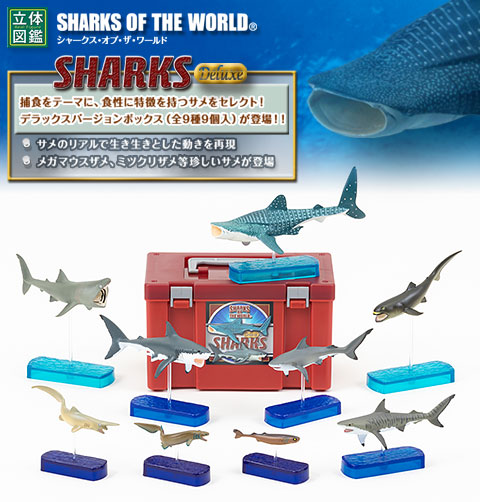 動物 生物 立体図鑑 シャークデラックスボックス / カロラータ