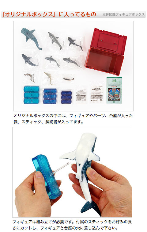 動物 生物 立体図鑑 シャークデラックスボックス / カロラータ