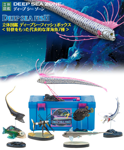 動物 生物 立体図鑑 ディープシーフィッシュボックス / カロラータ
