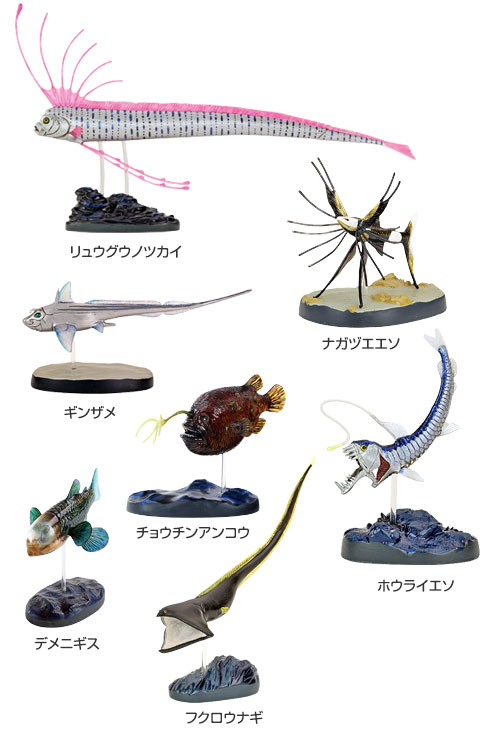 動物 生物 立体図鑑 ディープシーフィッシュボックス / カロラータ
