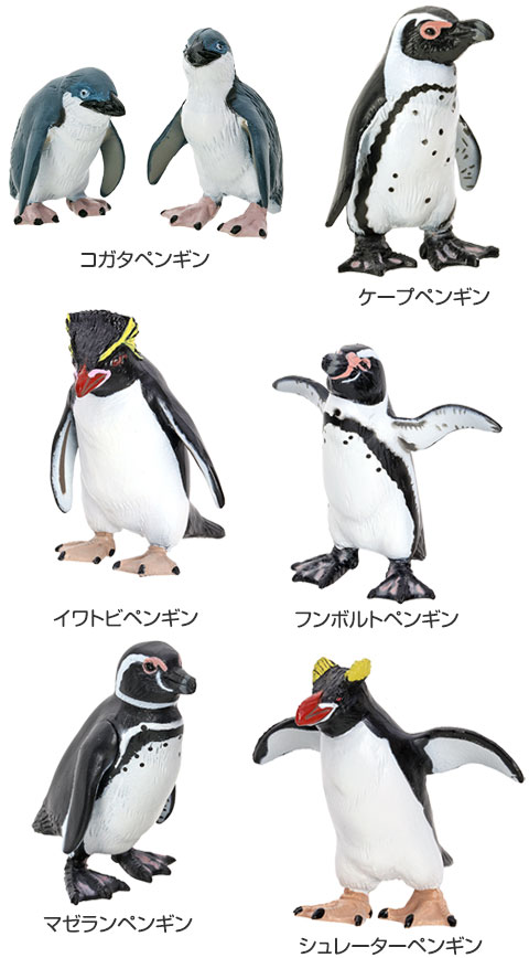 動物 生物 立体図鑑 ペンギンボックス / カロラータ オンラインショップ