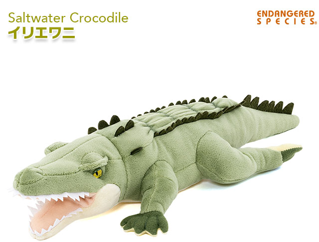 ぬいぐるみ イリエワニ│動物 カロラータ オンラインショップ