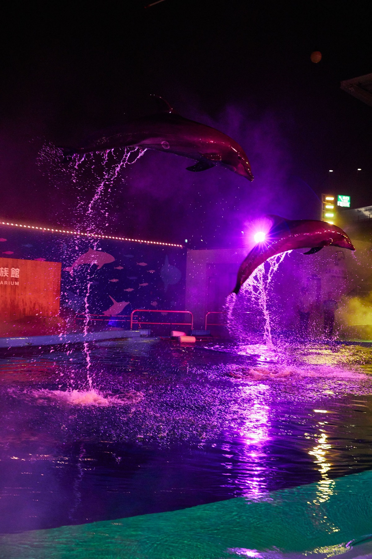 仙台うみの杜水族館 「ナイトドルフィンパフォーマンス～Sparkle