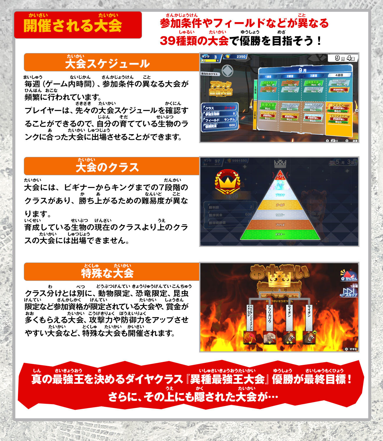ゲームの流れ｜Nintendo Switchのゲームソフト『異種最強王図鑑 バトル
