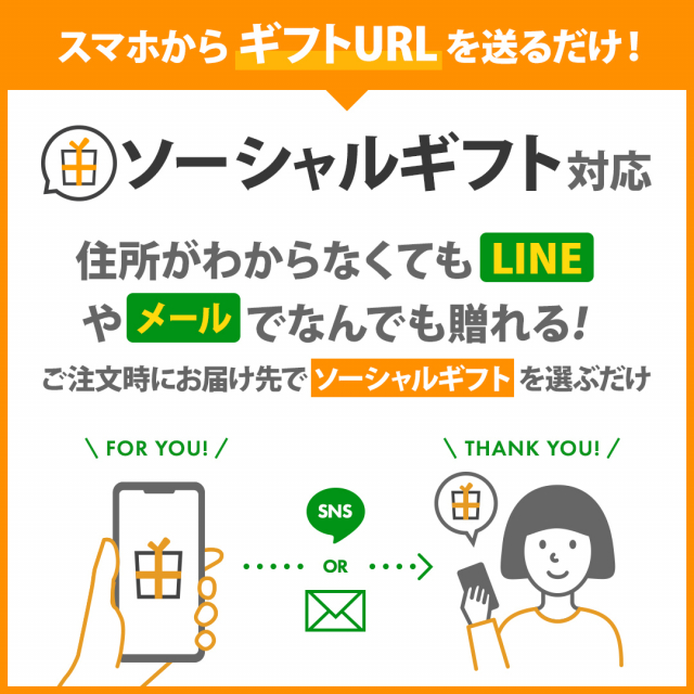 今治謹製 極上タオル プレミアム タオルセット GK22070 (バスタオル×1
