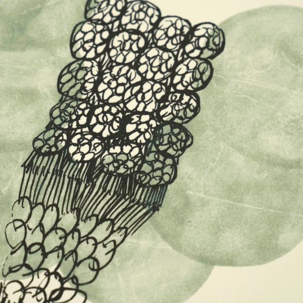 新発売】山口一郎のジクレーポスター最新作がリリース！ | インテリア