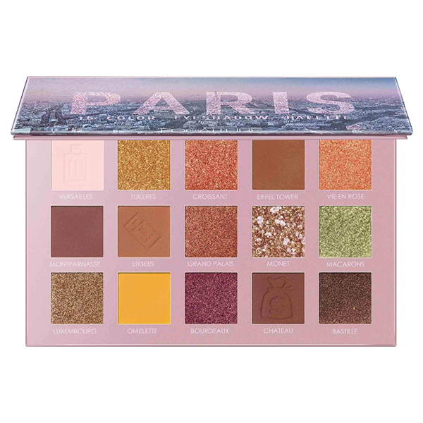 GO TRAVEL 15色アイシャドウパレット / FOCALLURE(パウダーアイ