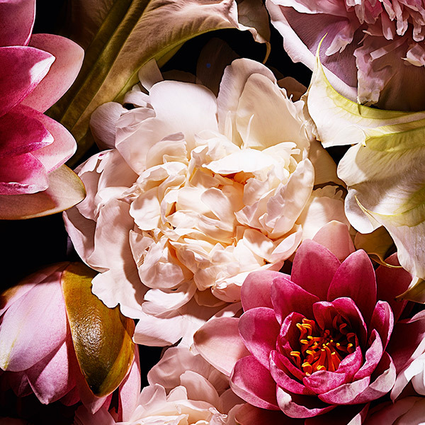 モン パリ リュミエールオーデトワレ / イヴ・サンローラン(香水, 香水