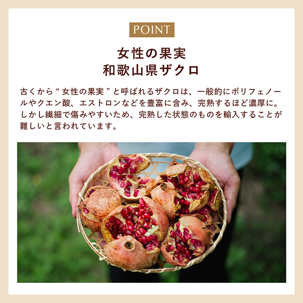 N organic Plenum ディープホールド クリーム / N organic(エヌ