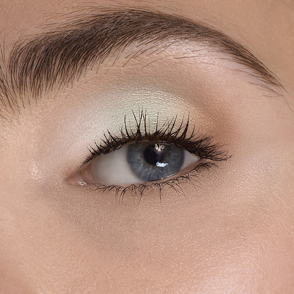 ディオールショウ サンク クルール / ディオール(パウダーアイシャドウ