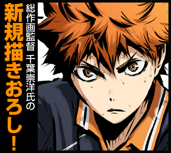 日向翔陽タペストリー 勝利への闘志Ver. [ハイキュー!! 烏野高校 VS