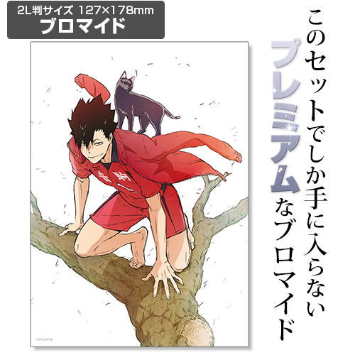 ☆限定☆【ブロマイドつき】黒尾鉄朗 100cmタペストリー [ハイキュー