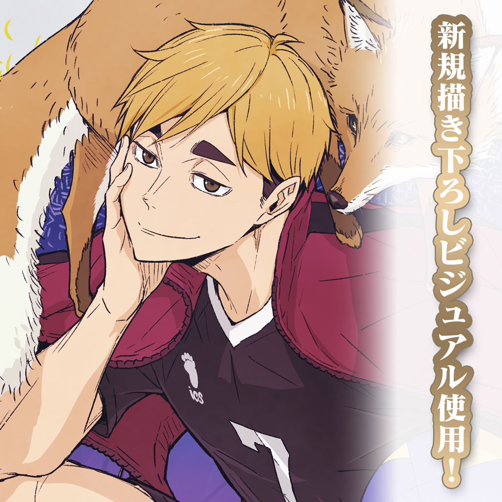 描き下ろし 宮 侑 B2タペストリー 飛翔Ver. [ハイキュー!!] | 公式