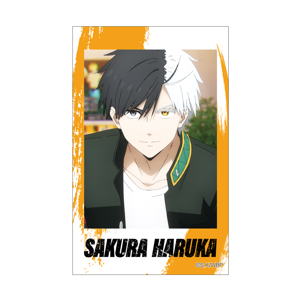 BOX】WIND BREAKER チェキ風ブロマイドコレクションVol.2（全10種