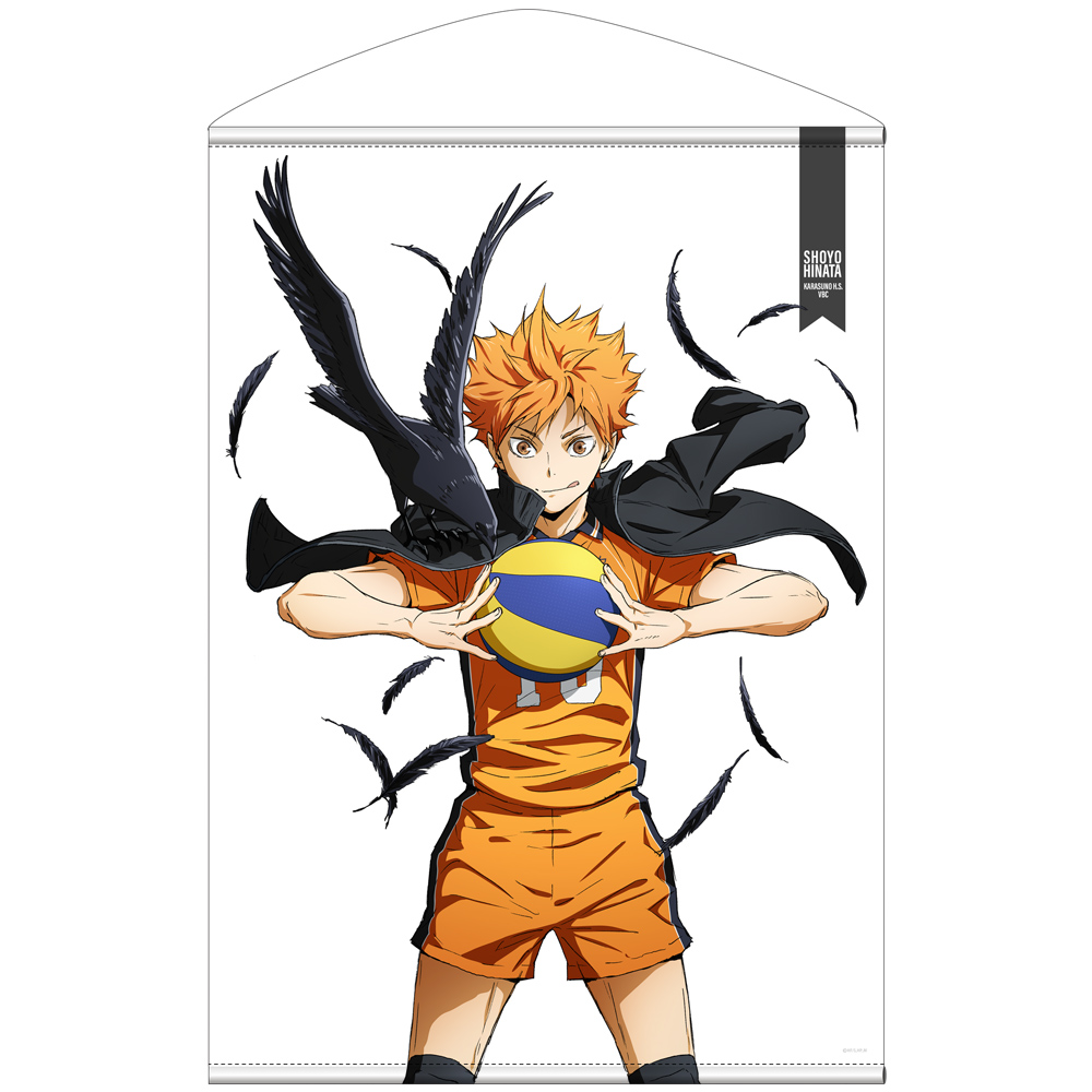 日向翔陽 B2タペストリー Ver.2.0 [ハイキュー!!] | キャラクター公式
