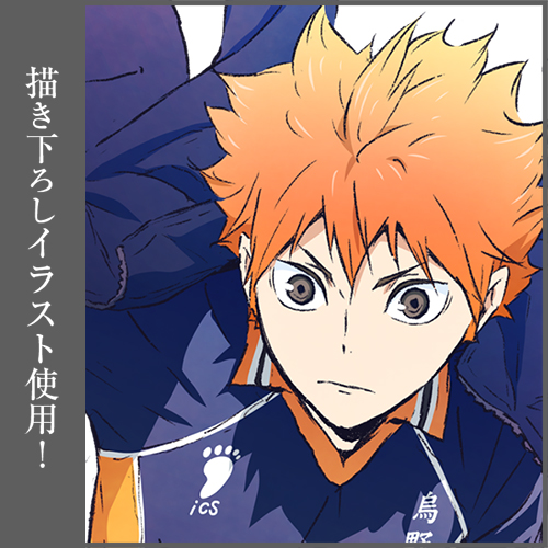 日向翔陽 B2タペストリー Ver.1.0 [ハイキュー!!] | キャラクター公式