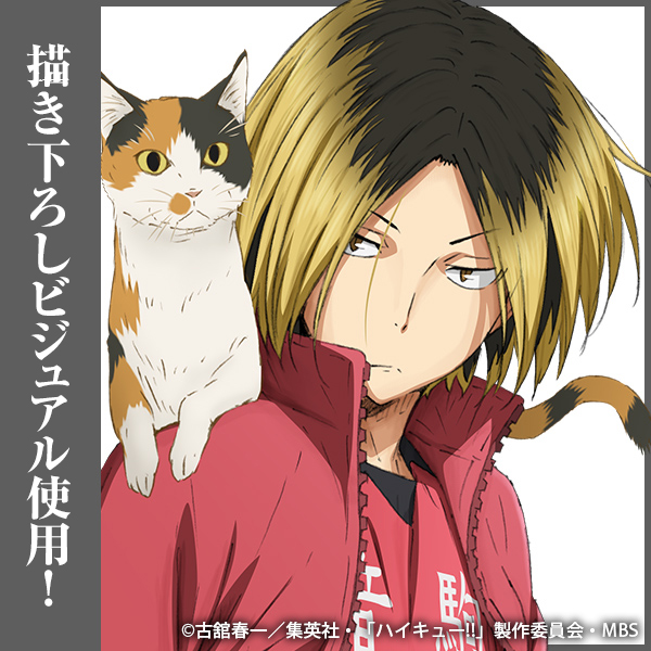 孤爪研磨 アクリルスタンド（大）Ver.1.0 [ハイキュー!!] | 公式