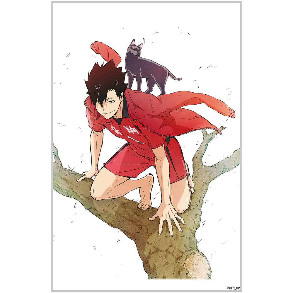 黒尾鉄朗 アクリルアートスタンド Ver.1.0 [ハイキュー