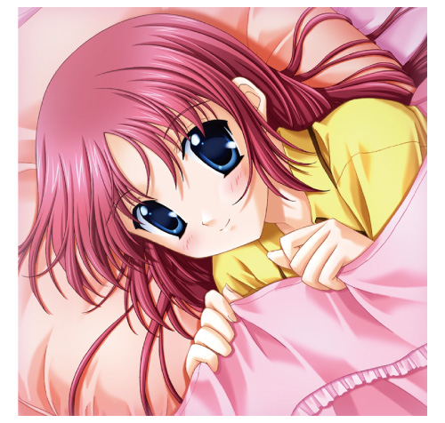 白河ことりクッションカバー [D.C.～ダ・カーポ～] | 二次元