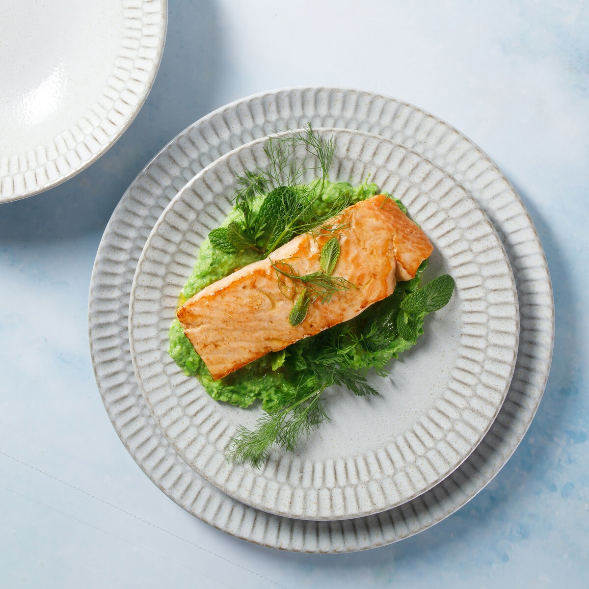 テラコッタ ディナーウェア 6点セット | Costco Japan