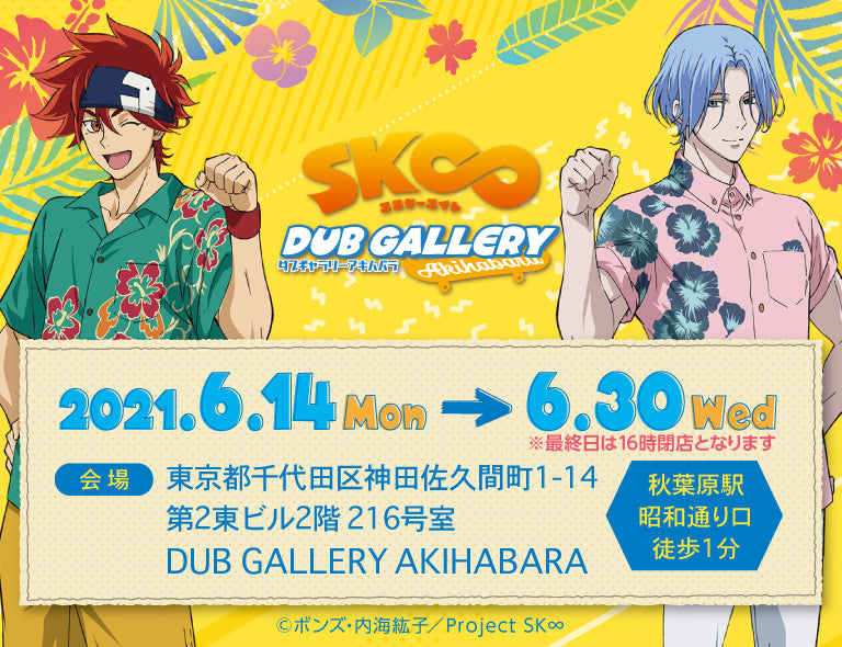 SK∞ エスケーエイト DUB GALLERY AKIHABARA