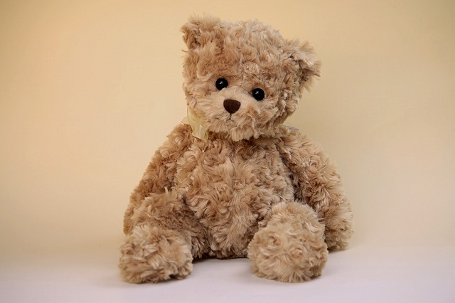 Bukowskiブコウスキーテディベア おもちゃ通販の店coco varie/65