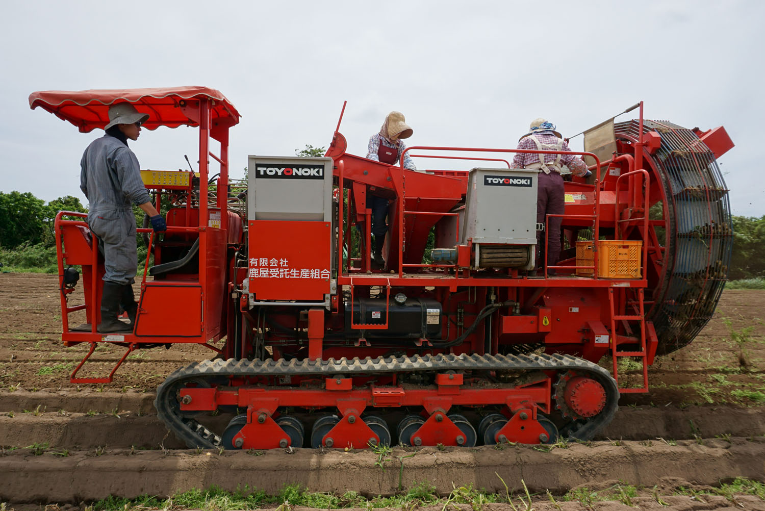 鹿児島の畑から ～新じゃが、収穫開始！[2]～｜じゃがいもDiary｜カルビー