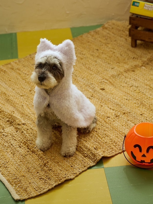 gelato pique（ジェラートピケ）【CAT&DOG】【販路限定商品】【PIQUE