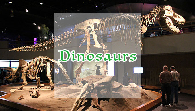 カナダ 恐竜ツアー 恐竜の町ドラムヘラー と 州立恐竜公園 を旅する