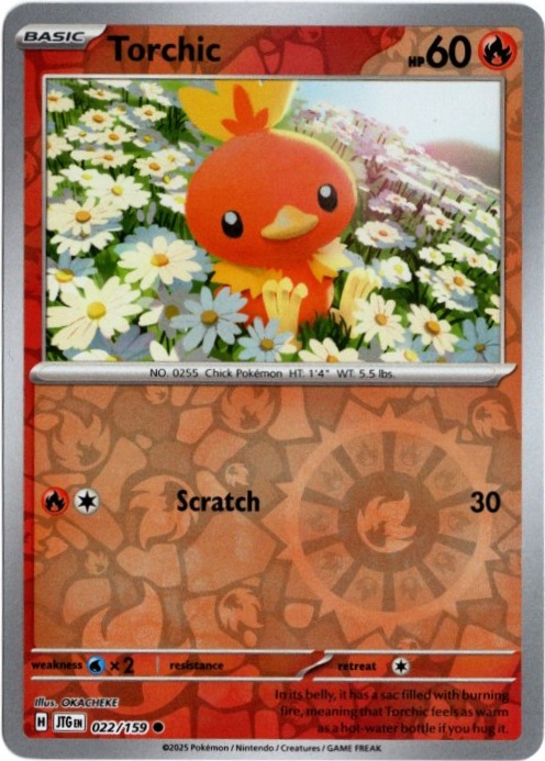 アチャモ 海外版 英語版 リバホロ Torchic - 022/159 -【Card Chicken】