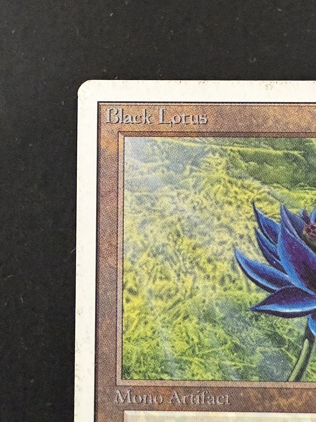 PLD]Black Lotus《英語》【2ED】#237