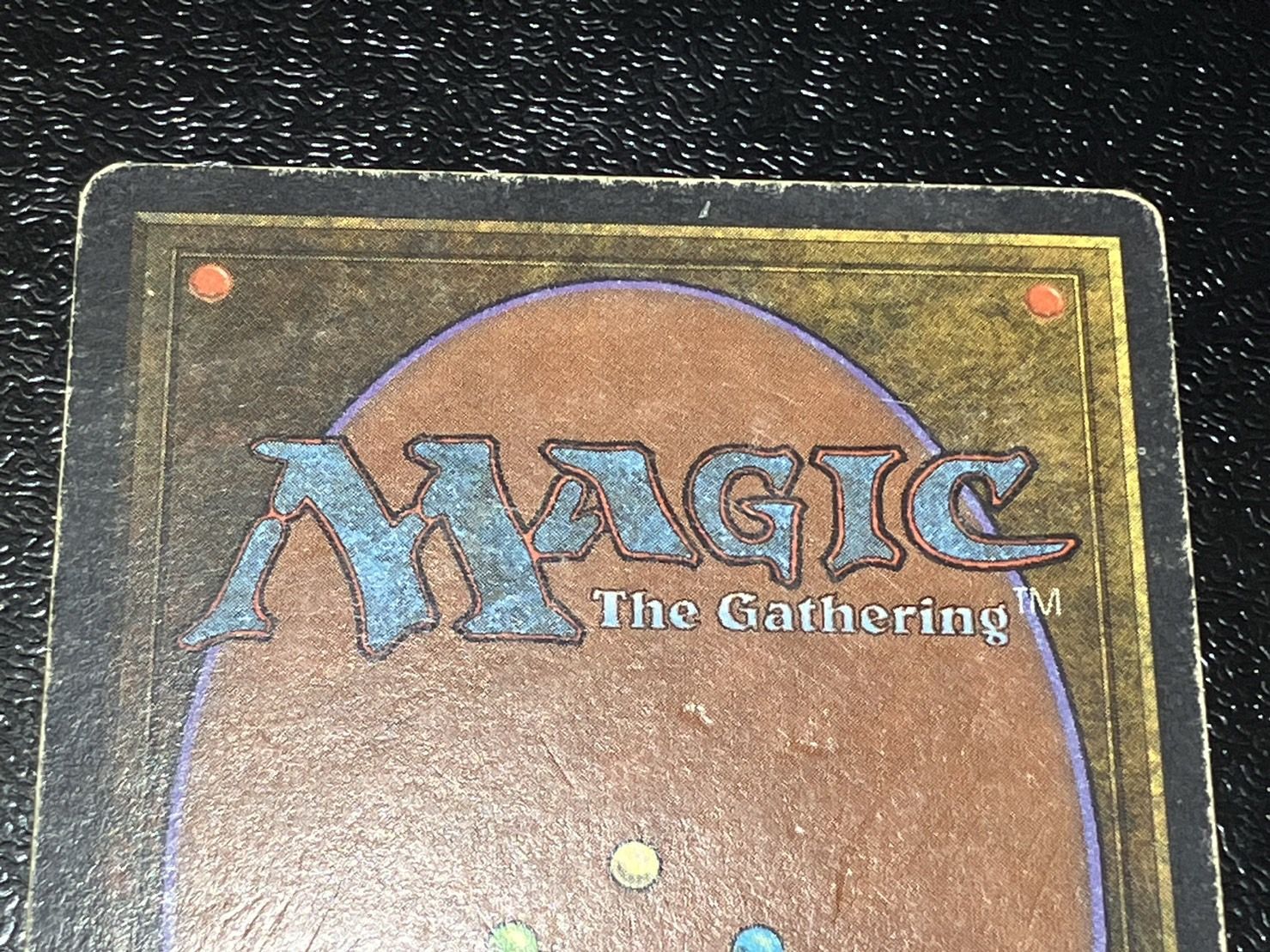 HPLD]Tropical Island《英語》【2ED】#118