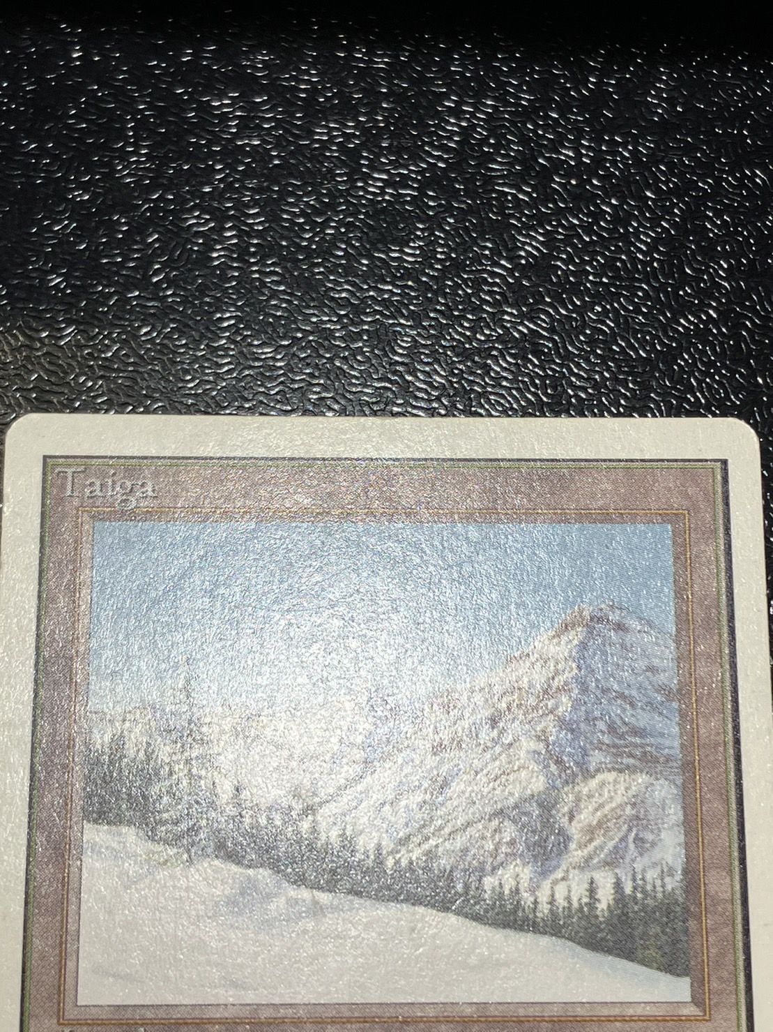 HPLD]Taiga《英語》【2ED】#121